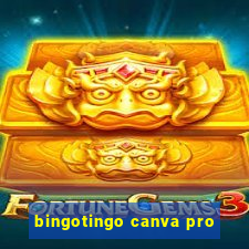 bingotingo canva pro